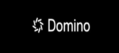 Domino Data Lab